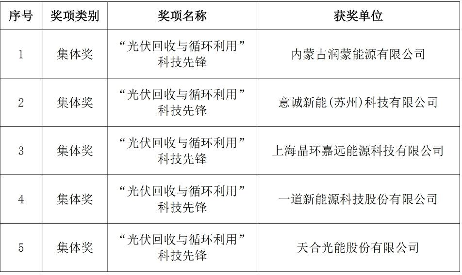 2024年度“光伏回收与循环利用”优秀集体和菁英人物盛大颁奖！(图2)