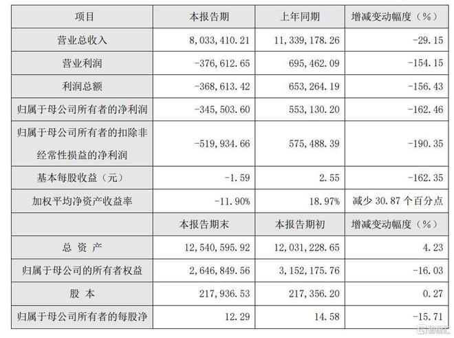 4家光伏企业公布2024年“成绩单”谁在竞争中更抗压？(图3)